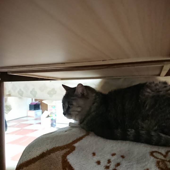 F8c242da b66c 4085 9aba 74e537e05964 1575064794119