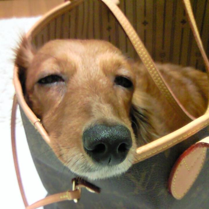 F8c2515d d5d6 460c 9ace 1e12f5515e94 1552070863912