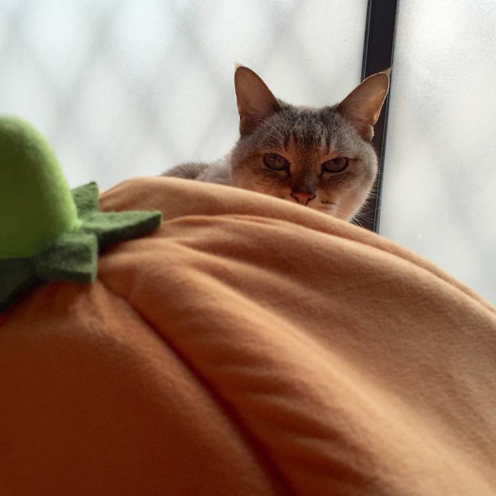 F8c253f5 9328 4cfa 90c0 3c769f826549 1525846513636