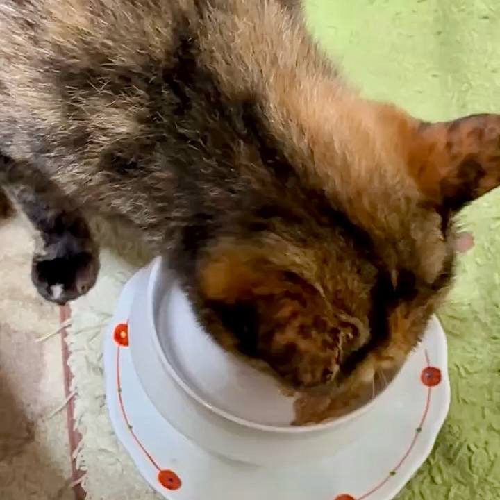 F8c27436 51c1 422f 8aed 3cddd9cd58bc 1752288607986