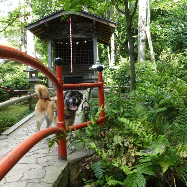 F8c28227 e460 4c29 b17a 68721c99a9ab 1578958793241