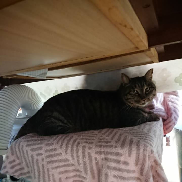 F8c2ab89 e257 4cc6 8f77 4d27d73a7922 1641346440550