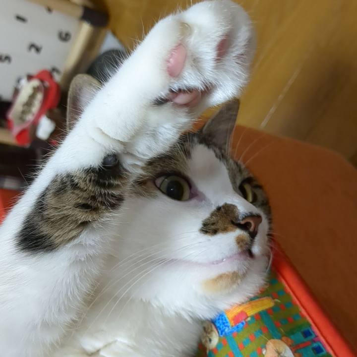 F8c2d5fc 8be4 403c 9623 8340a7932446 1684842110568