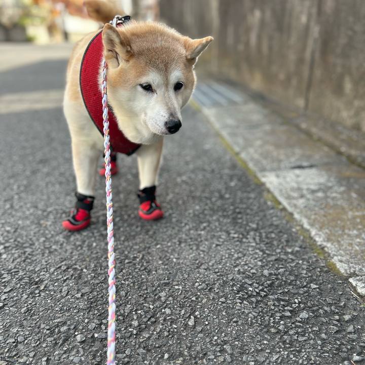 F8c2d85b 7783 4f58 9064 2fbbfb657d6c 1734667811150