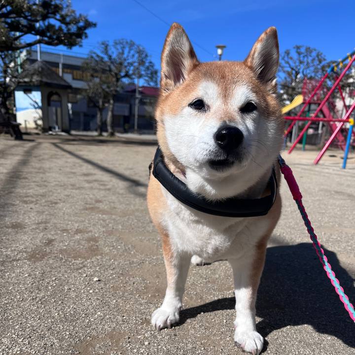 F8c30bd6 848b 4fbd 9203 6e31982c4aaa 1708059219552