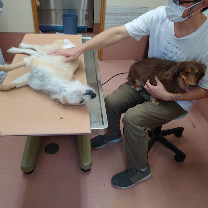 F8c322e8 2cb2 496e 8c31 b23d6e087473 1665817983517