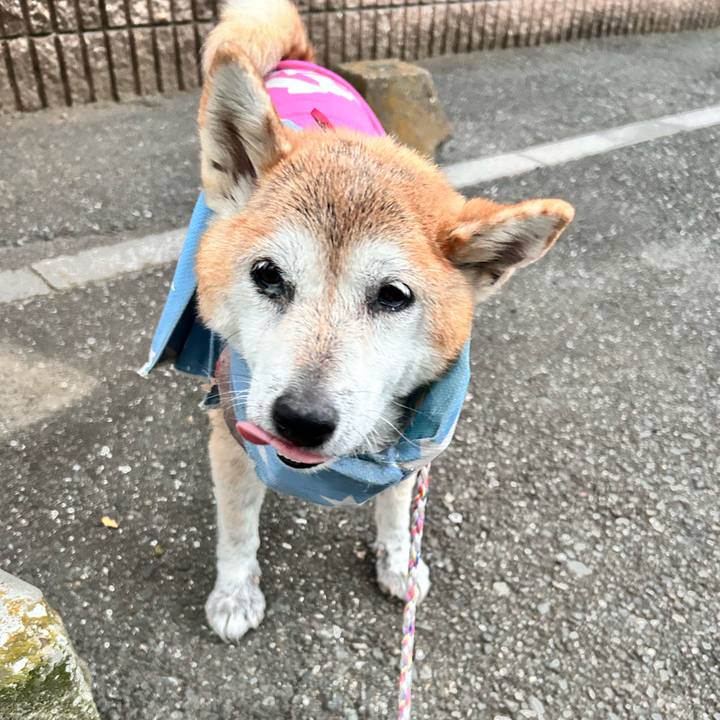 F8c36a49 957c 4406 a260 0ae7b5266990 1763452269057