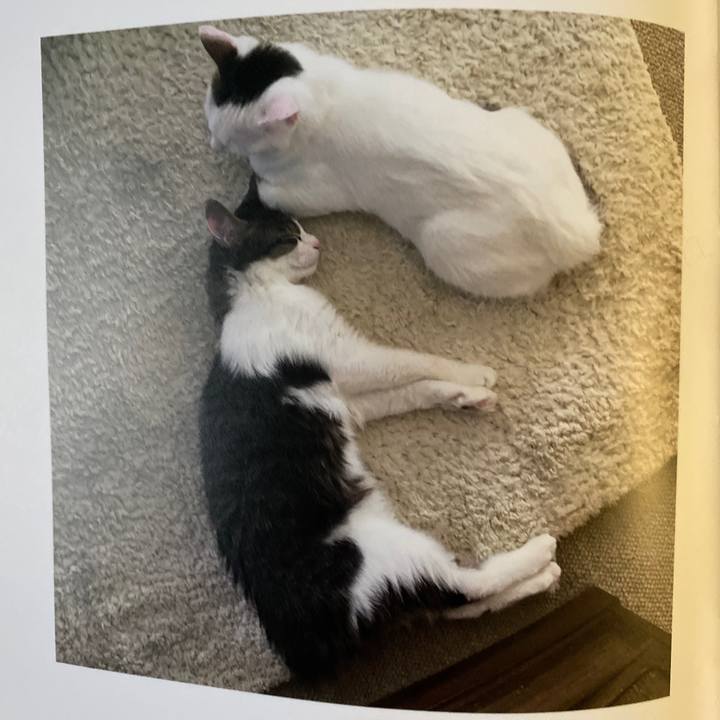 F8c36f4a faec 4d60 afb9 206da7760f81 1665009350087