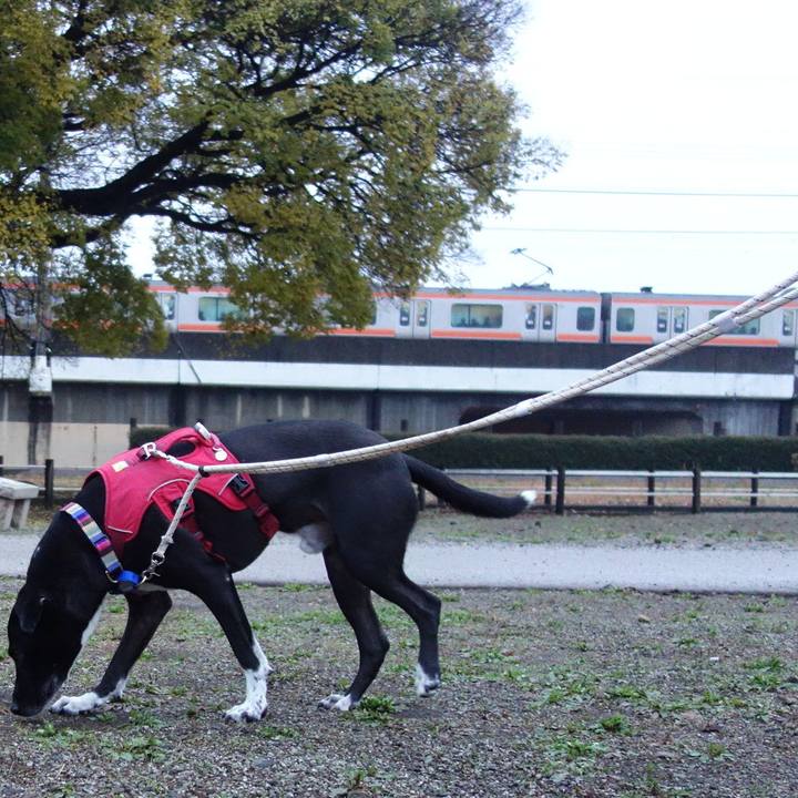 F8c3ef49 5ae9 45c1 b9c7 85f5021cfb5e 1638318673346