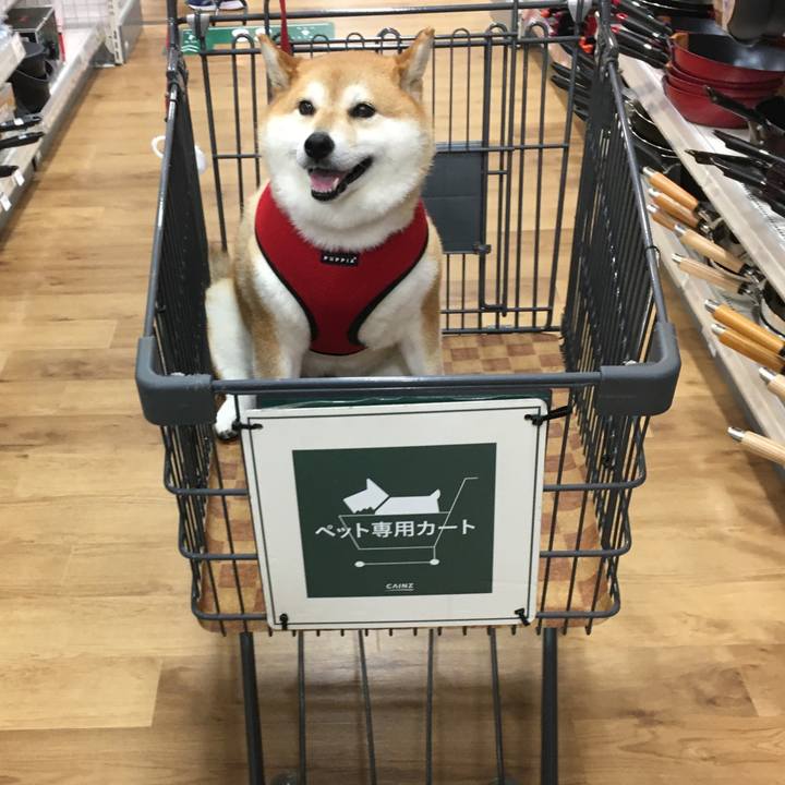 F8c42c84 f213 4038 b57a 51a09f20b615 1595920450869