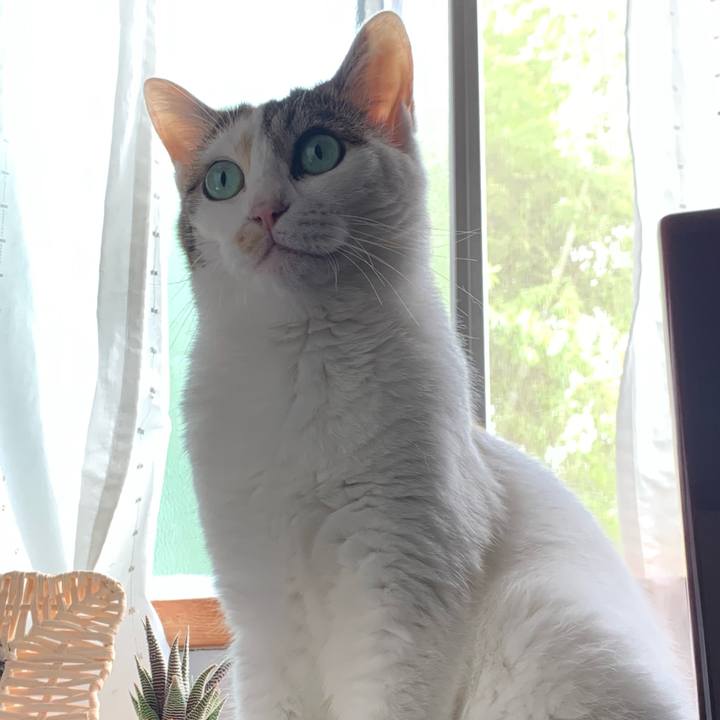 F8c44ccd b9bc 479f acf1 87808e08a189 1655016529190