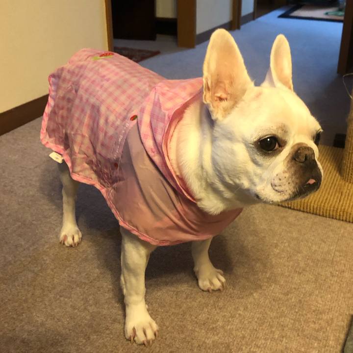 F8c482aa ce0b 4368 876a dc0f126b48dc 1665828731761