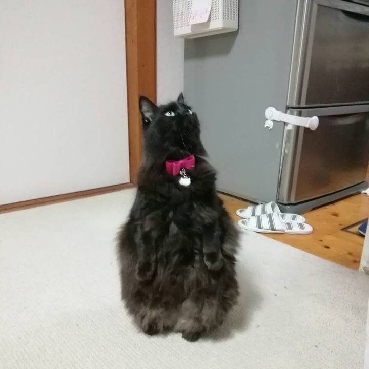 F8c495b8 729c 4ac6 a4e1 9838051495e9 1516909725276