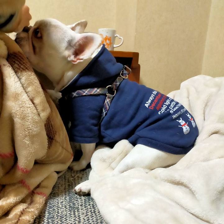 F8c4a2e4 44e9 4833 81f4 400dcc2b40ea 1642547447760