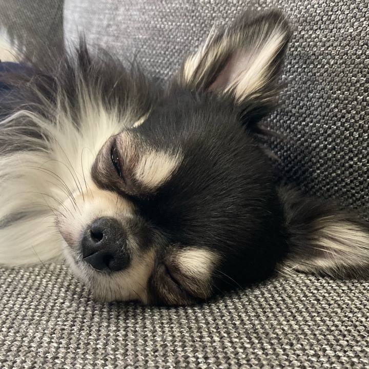 F8c4e76f 96f5 4af5 8328 bebbf2e9b9ec 1613192208268