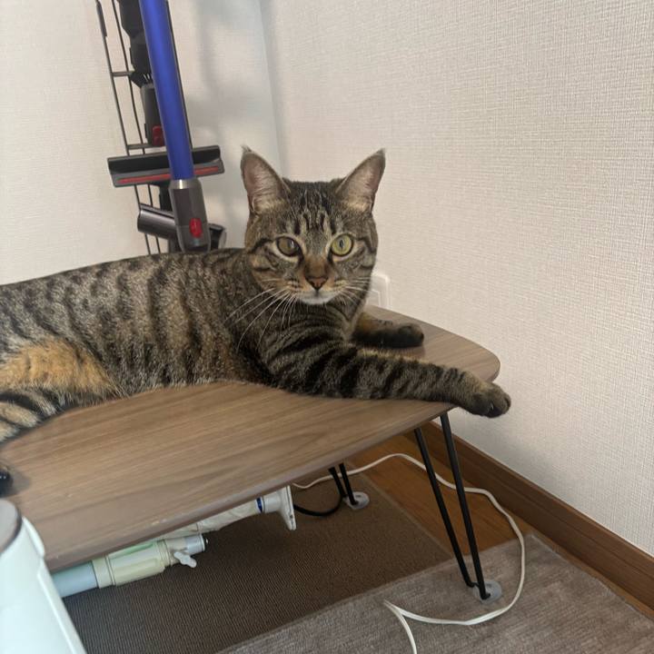 F8c4f641 6784 4352 a237 24e4936ebba7 1757219509042