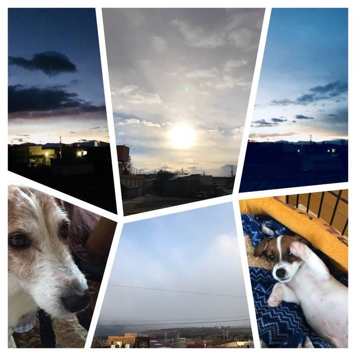 F8c51118 77f7 4136 a05b 41db6a4c0da2 1511477768597