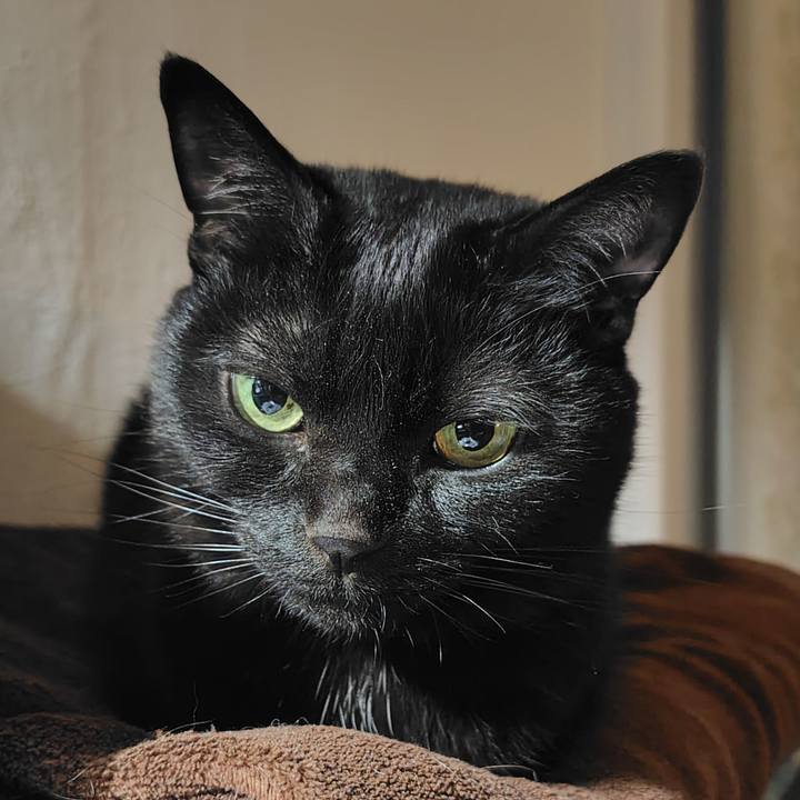 F8c5281b 097a 4f32 8744 feb615e1ceff 1715345646415