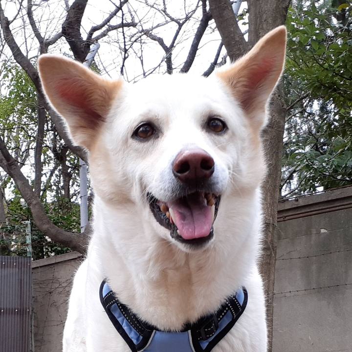 F8c53f02 220c 4819 82ed 0d035657aeef 1677714710089