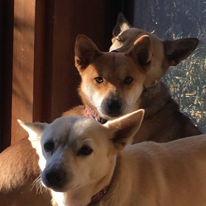 F8c546b7 76d4 4267 ac18 e8ed3d66d110 1515071572129