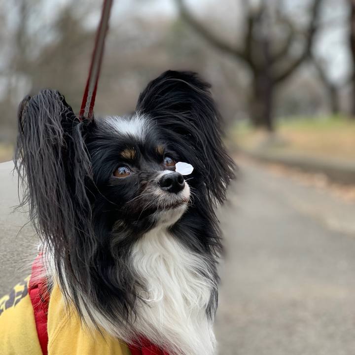 F8c563ad 4d25 4d57 be64 012e76f4958b 1553609727815