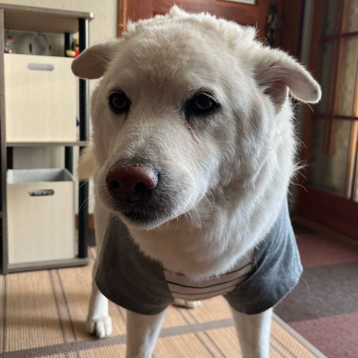 F8c5cd21 c871 47b9 b01e f77b398b55fc 1761780090560