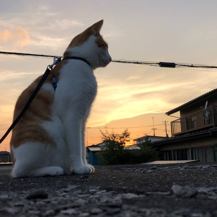 F8c61da7 3b58 4fff affe a617ce5491c2 1564655319051