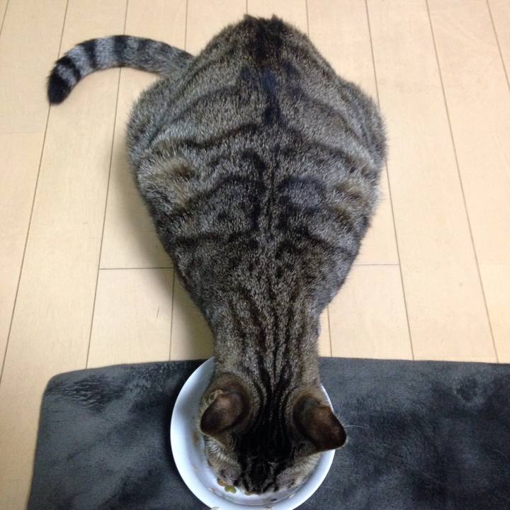 F8c692b2 e9fa 4bbd 91ad 92919bcf2c80 1510966207067