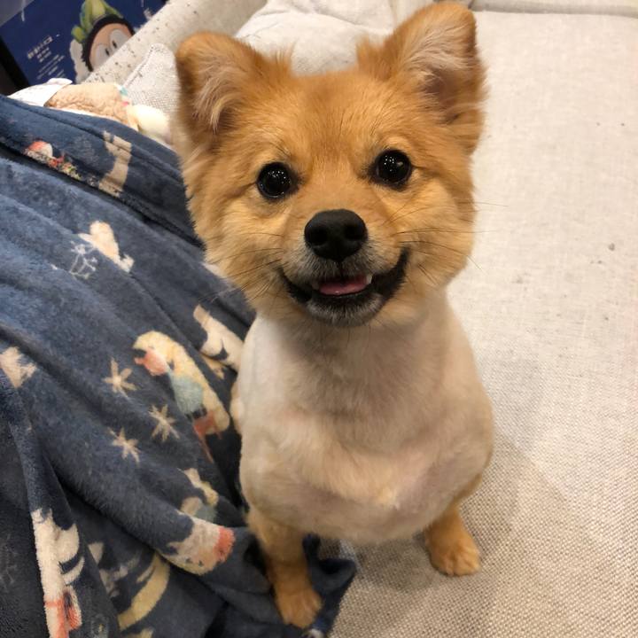 F8c69596 4833 43f8 bde7 d82627fde621 1648871895580