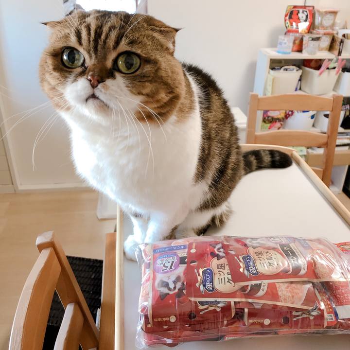 F8c6cb6f 3d5d 402e 8c47 64eb4787a46a 1578029510867