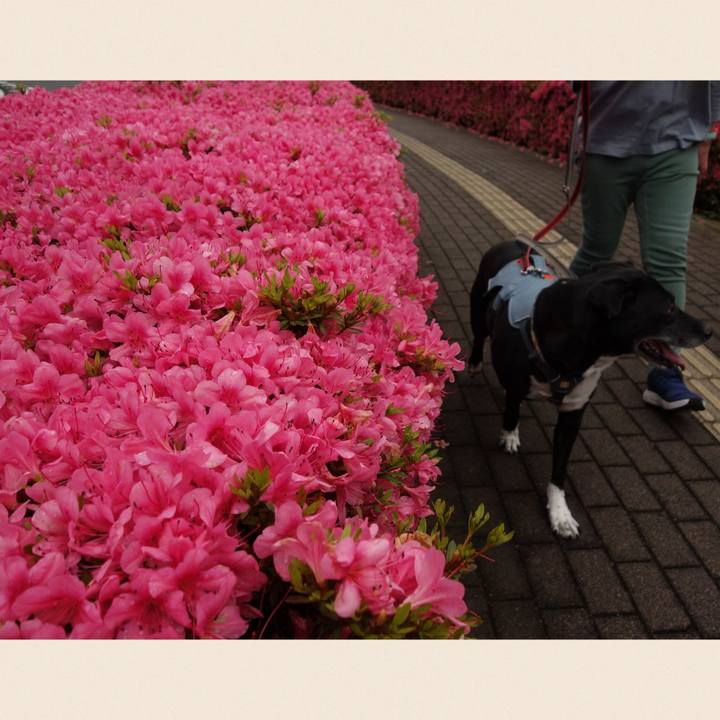 F8c6cd42 edb1 4144 9851 2100b6b64bec 1716337962769