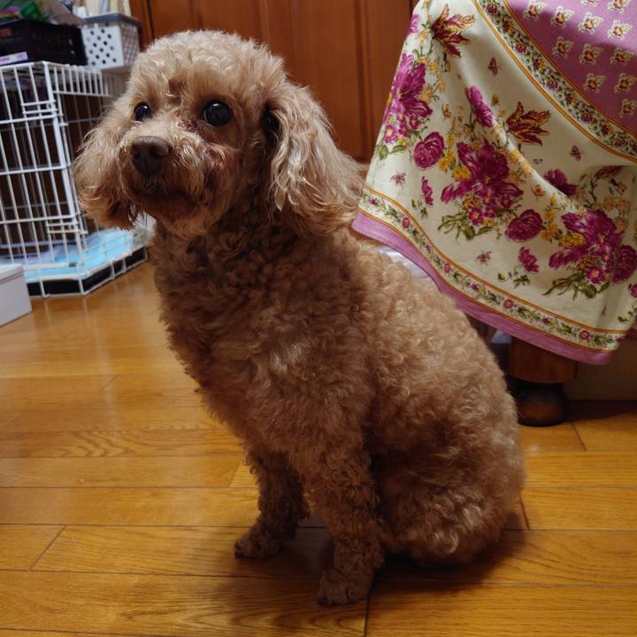 F8c73739 48d6 4ada b30e 2ab53b9af610 1711185558682