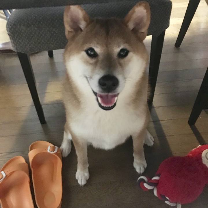 F8c757c1 07b6 4303 ae54 8a3c7d594390 1568261026699