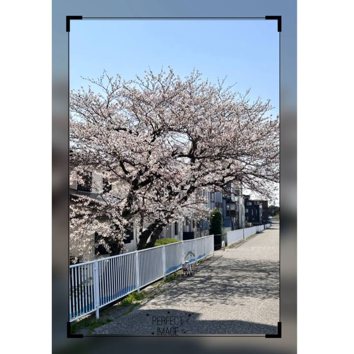 F8c75c57 304c 493c 828e 6db2125ca816 1747952816584