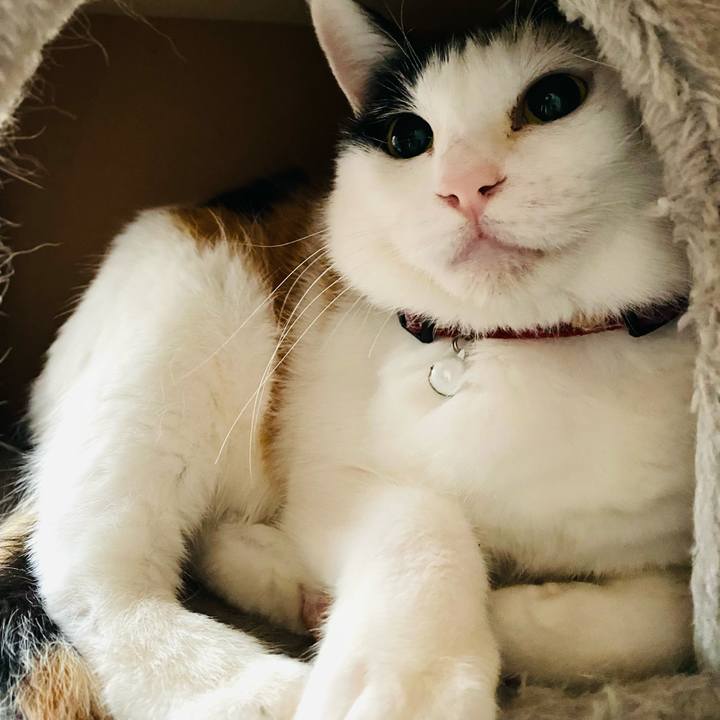 F8c7788f 34bd 40c1 a8d1 0c23933d8114 1681422985447