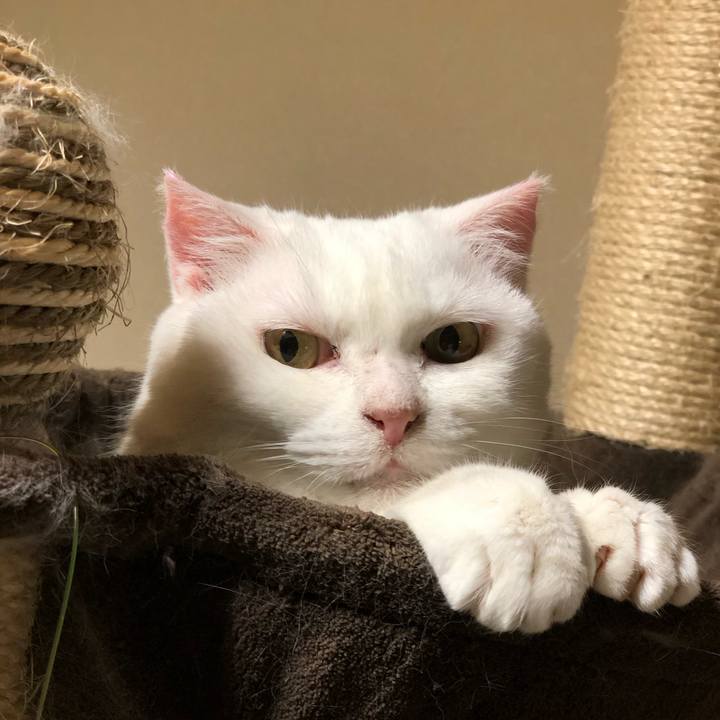 F8c7aade 8464 4c21 abd5 929968ce3669 1563280503608