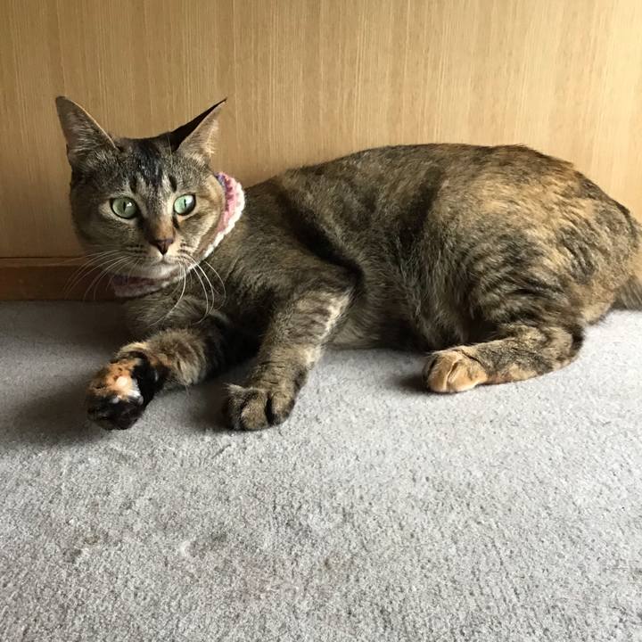 F8c7e04e 54d0 4268 bd19 6c45ab9bd4b5 1623915585063