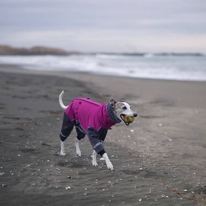 F8c825be 363b 4302 84dc 6562b04fb418 1517997484020