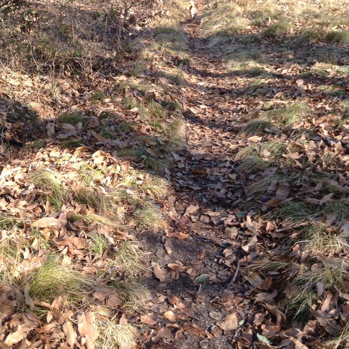 F8c83419 a638 47fa b350 be44076addab 1547620787889