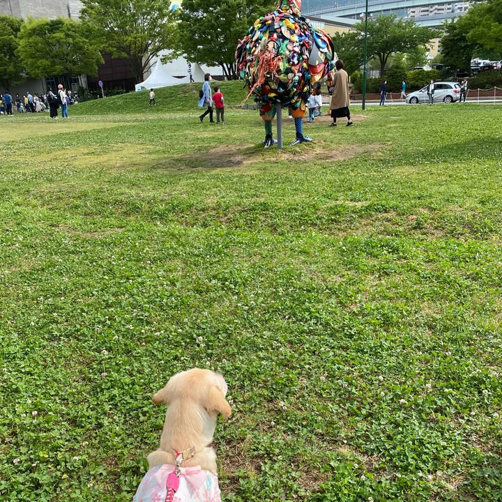 F8c83f9d 0094 48ef 8adb 5feb44868c1e 1619683480404