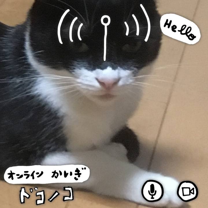 F8c850ee 0988 4b70 9259 5821e8695354 1591112339022