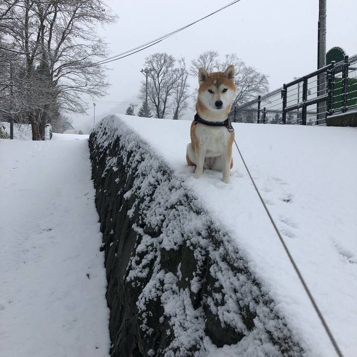 F8c854d7 fc3d 48fe b2e4 a19fb0c7a1fe 1575334949547