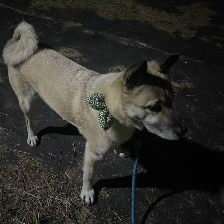 F8c892ae ee9c 455e a8b4 5062631e4c75 1704803699131