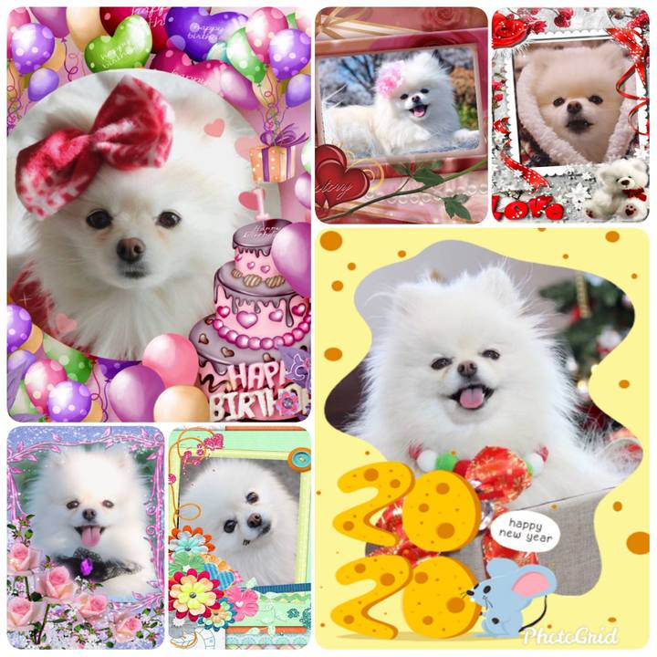 F8c8ada7 d281 464e 81a9 6e2d0d46ed3d 1577853160834