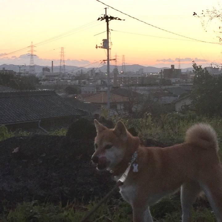 F8c8d474 fdb9 4347 b38b 22266abfd73e 1512477348722