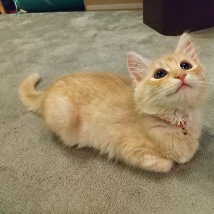 F8c91017 f613 4639 8fa7 be77cf005005 1605700775564