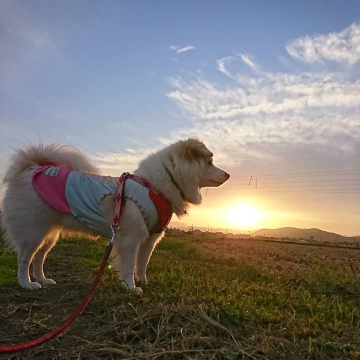 F8c91ade f869 4d0b 93d4 b3979575c60d 1508856537057