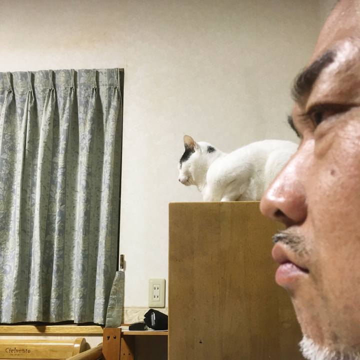 F8c97d46 fca8 4486 898b 42041fc4b0f9 1542040307601