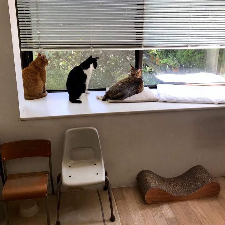 F8c99548 5649 4b76 a190 702f9c064c42 1528002416418