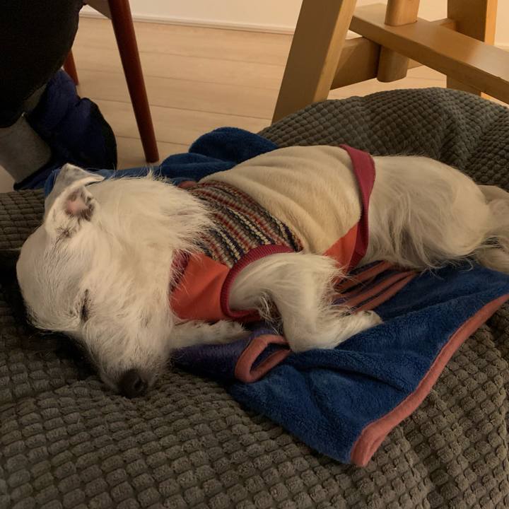 F8c9abbb be8a 4f1f 95ce b4ffc5ba7894 1577358989060